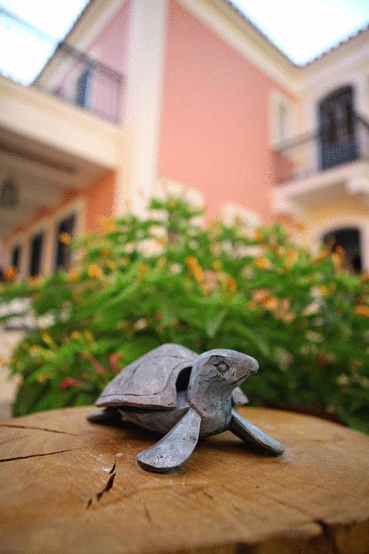 Michaelia Hotel Pétra Extérieur photo